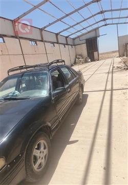 دايو برنس